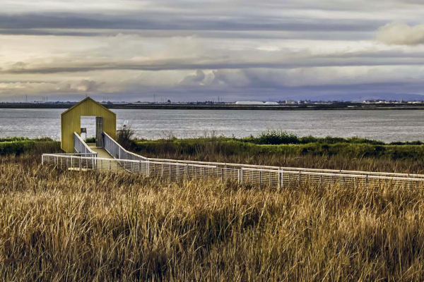 Alviso Railroad Adaptation Planning Study